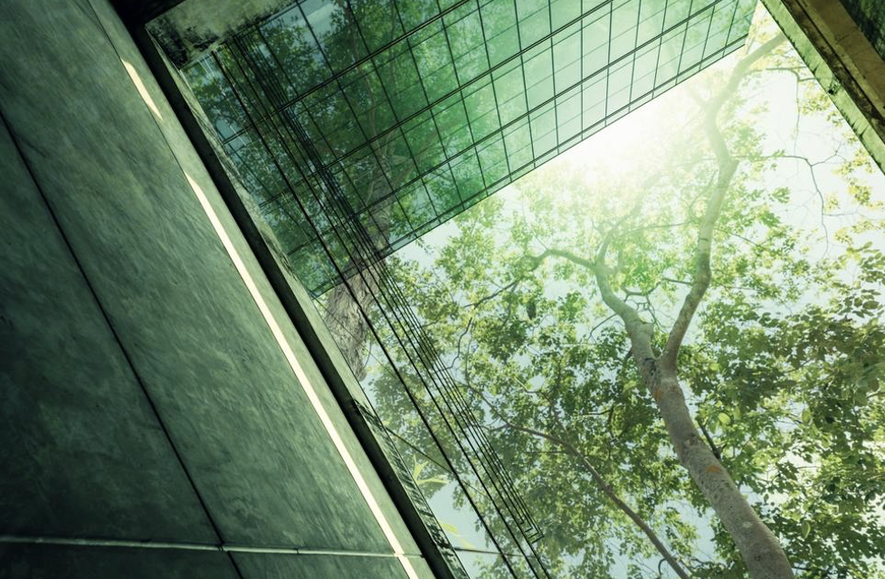 Natural lighting | Exterior of an office with a tree growing nearby, green lighting.
